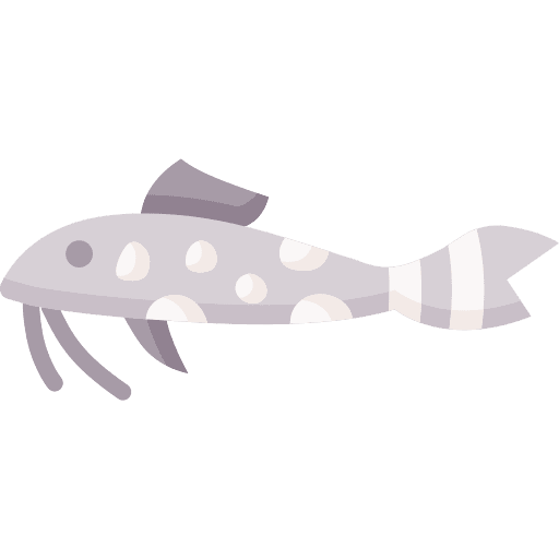Catfish animal food aquatic icon Catfish animal food aquatic icon