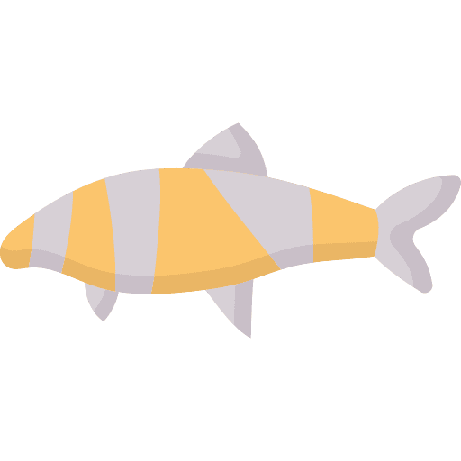 Clown loach clown loach ocean aquatic icon Clown loach clown loach ocean aquatic icon