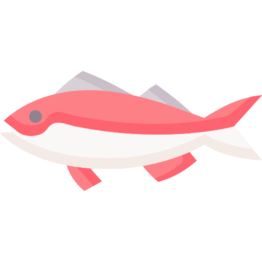 Jewfish nature aquarium animal icon Jewfish nature aquarium animal icon