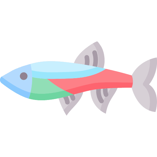 Neon tetra aquatic sea animal icon Neon tetra aquatic sea animal icon