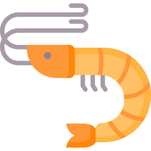 Shrimp animal kingdom sea life crustacean icon Shrimp animal kingdom sea life crustacean icon