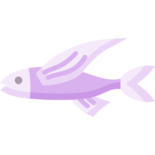 Flying fish animal aquatic animals icon Flying fish animal aquatic animals icon