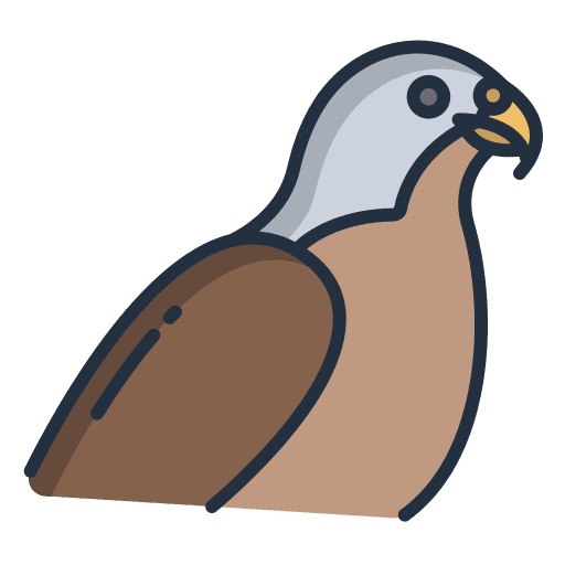 Falcon eagle ornithology bird icon