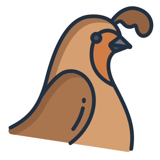 Quail animals feathers ornithology icon