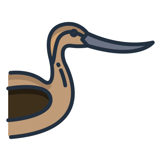 Avocet animal kingdom animals ornithology icon Avocet animal kingdom animals ornithology icon