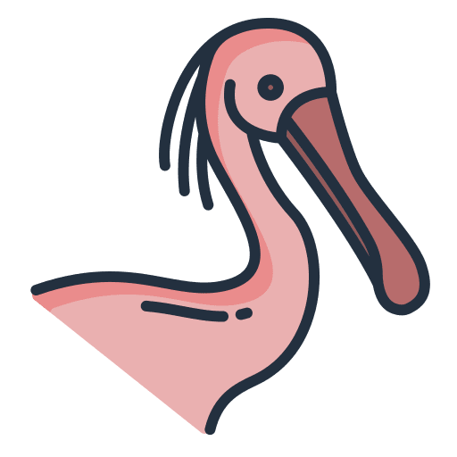Spoonbill animal kingdom zoology spoonbill icon Spoonbill animal kingdom zoology spoonbill icon