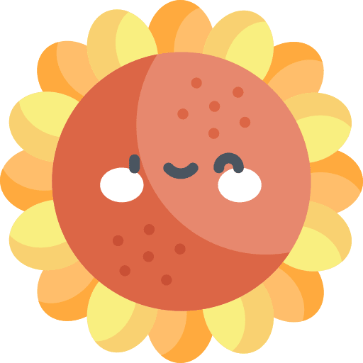 Sunflower petals sunflower nature icon Sunflower petals sunflower nature icon