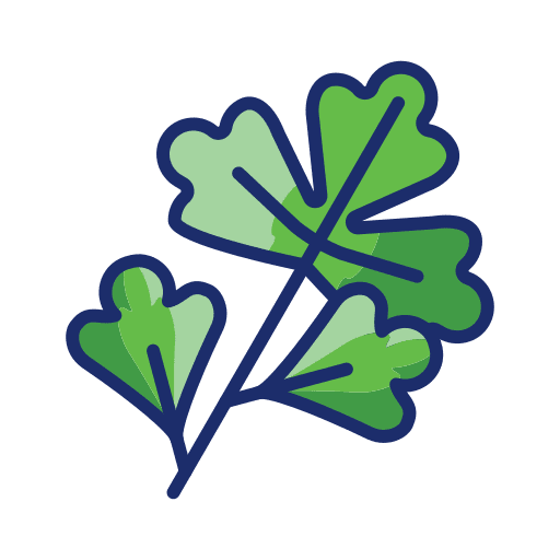 Coriander nature nutrition food and restaurant icon