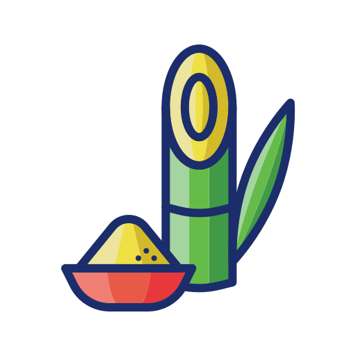 Sugar cane botanical plant sugar cane icon