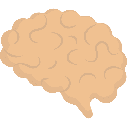 Brain body part body organ healthcare and medical icon