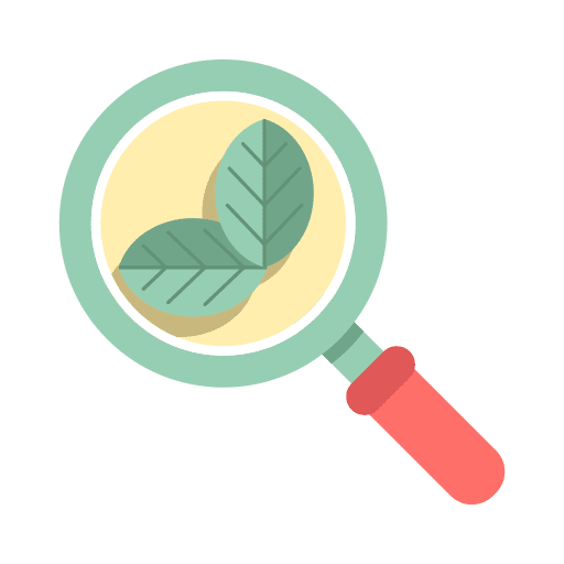 Organic search organic magnifier ecology and environment icon