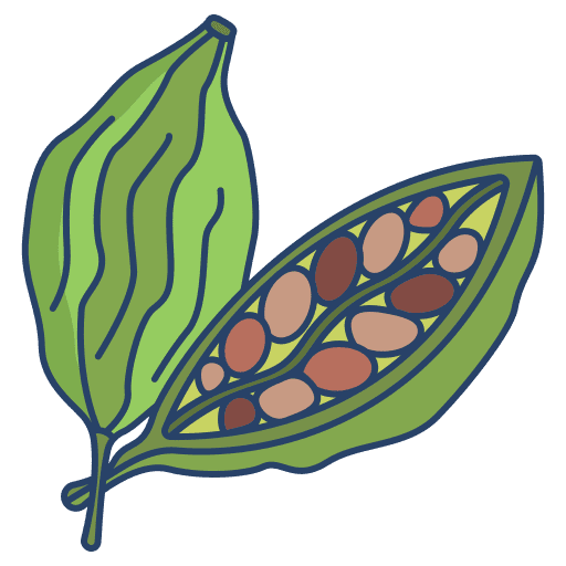 Cardamom spice food and restaurant seed icon