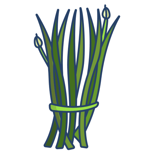 Chives plant nature food and restaurant icon Chives plant nature food and restaurant icon