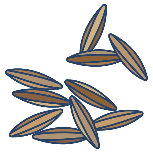 Cumin seed food and restaurant nature icon