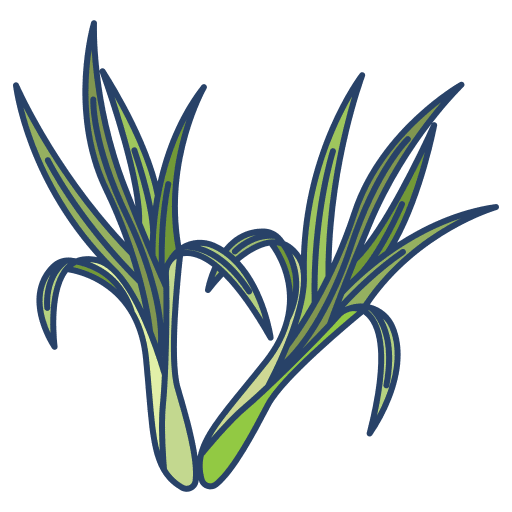 Lemon nature grass plant icon Lemon nature grass plant icon