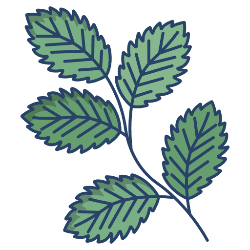 Mint vegan vegetarian peppermint icon