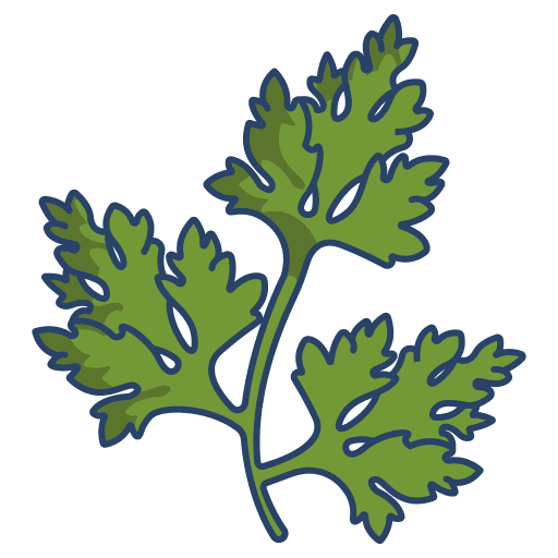 Parsley vegetable vegan parsley icon