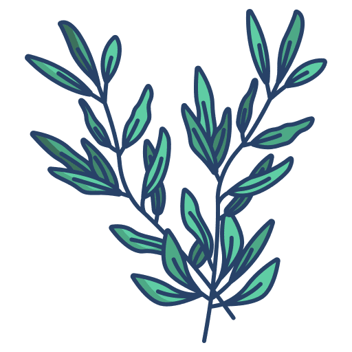 Rosemary aroma rosemary organic icon