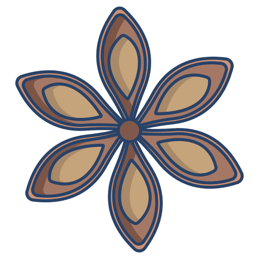 Anise spice flavour cooking icon Anise spice flavour cooking icon