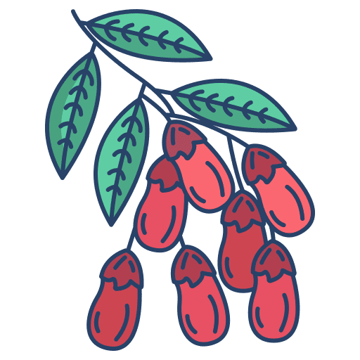 Barberry plant nature food icon Barberry plant nature food icon