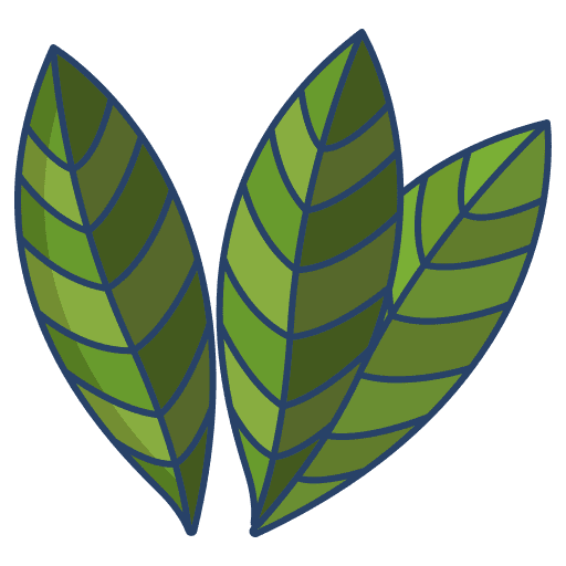 Bay leaf nature leaves icon Bay leaf nature leaves icon