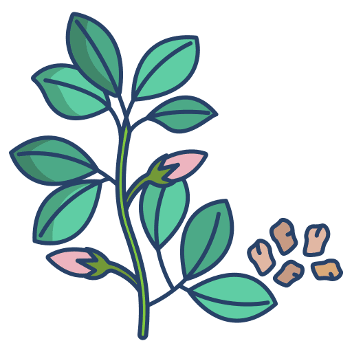 Dill food and restaurant vegan healthy food icon Dill food and restaurant vegan healthy food icon