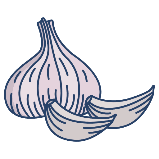 Garlic healthy food vegetarian organic icon Garlic healthy food vegetarian organic icon