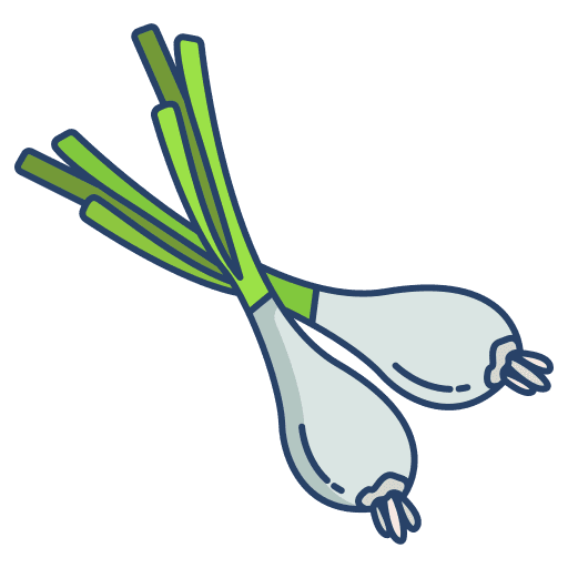 Green onion diet healthy food spring onion icon Green onion diet healthy food spring onion icon