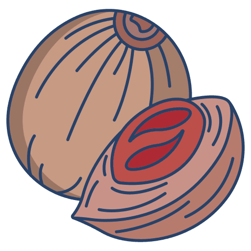 Nutmeg spice nutmeg ingredient icon Nutmeg spice nutmeg ingredient icon