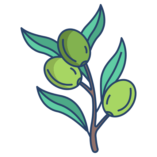 Olives branch leaf olives icon Olives branch leaf olives icon