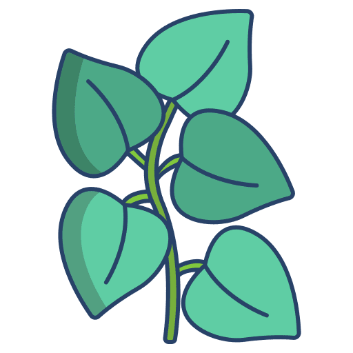 Oregano spice oregano vegan icon Oregano spice oregano vegan icon