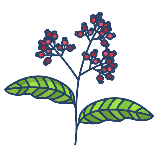 Pepper nature leaves cooking icon Pepper nature leaves cooking icon