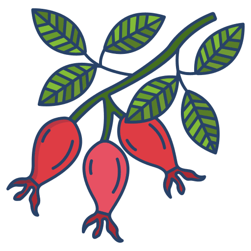 Rosehip petal flower botanical icon Rosehip petal flower botanical icon