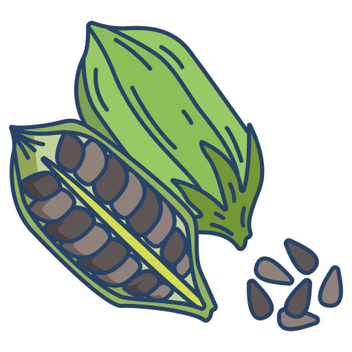 Sesame diet vegan sesame icon Sesame diet vegan sesame icon