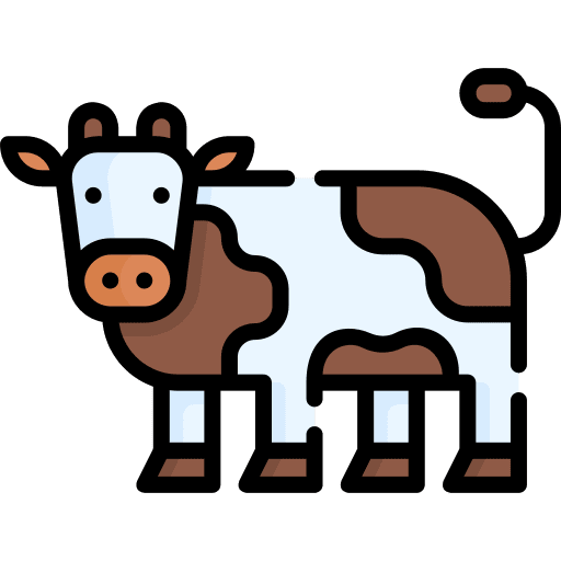 Cow animal kingdom cattle cow icon