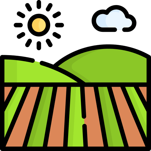 Field plantation field agriculture icon