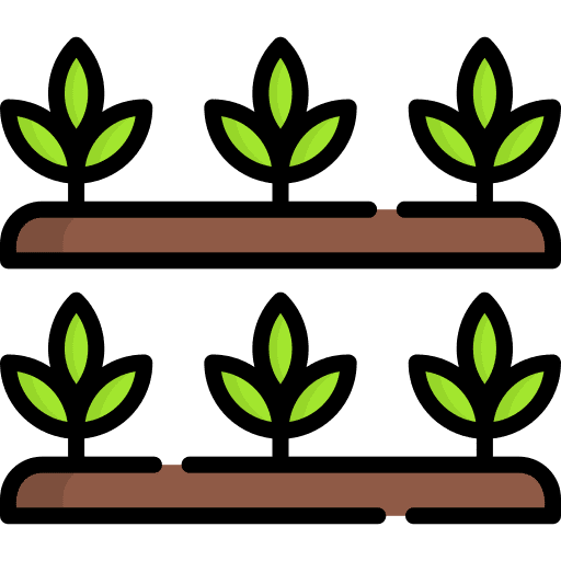 Plant growing nature plant icon Plant growing nature plant icon