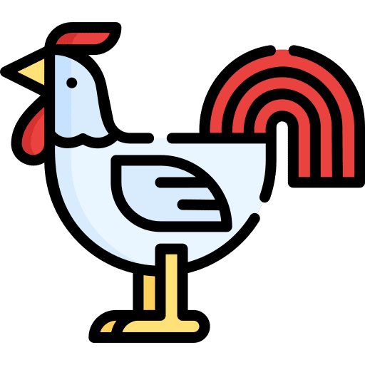 Chicken animals bird hen icon Chicken animals bird hen icon