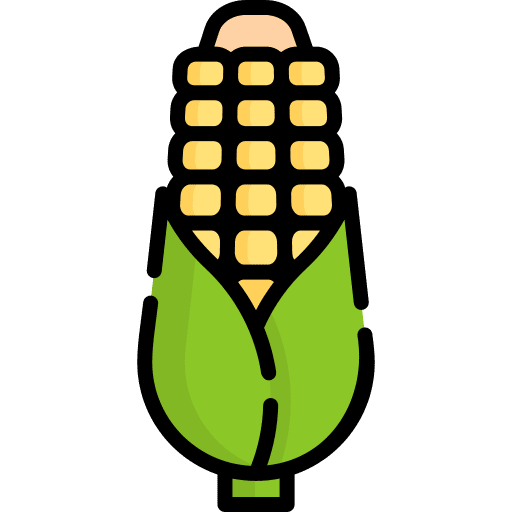 Corn diet gastronomy corn icon Corn diet gastronomy corn icon