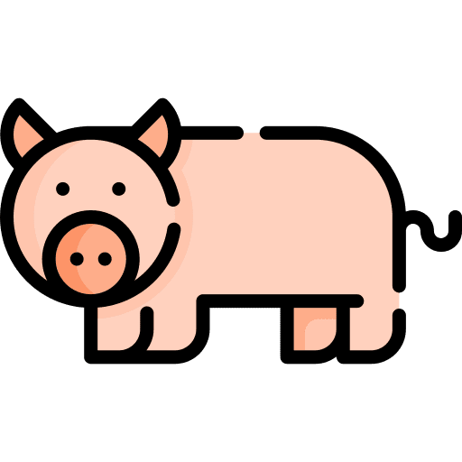 Pig pig animal kingdom fauna icon Pig pig animal kingdom fauna icon