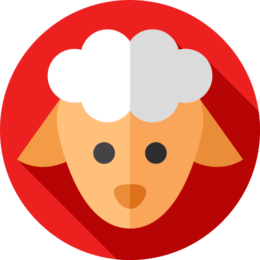 Sheep zoology fauna animal kingdom icon