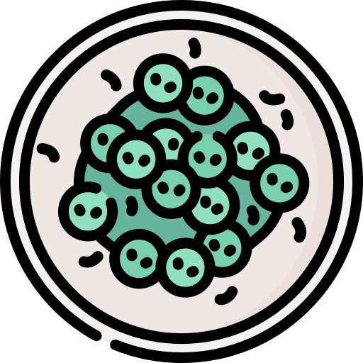 Cucumber cucumber vegetable healthy food icon Cucumber cucumber vegetable healthy food icon