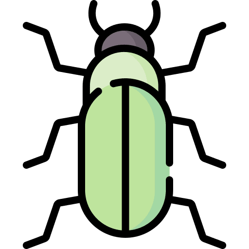 Beetle zoo animal kingdom bug icon