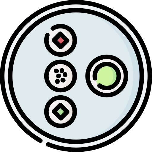 Sushi salmon fresh sushi icon Sushi salmon fresh sushi icon
