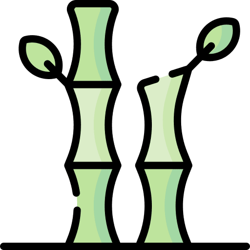 Bamboo nature botanical chinese icon Bamboo nature botanical chinese icon