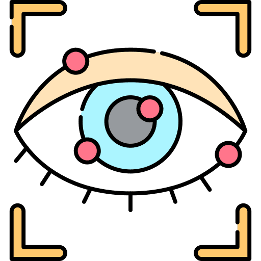 Identification eye biometrics identification icon