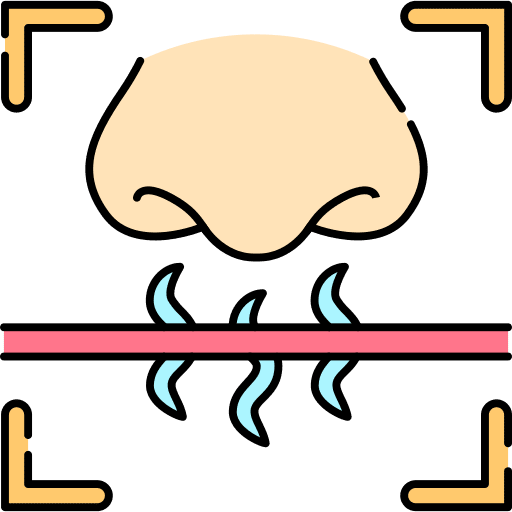 Identification nose recognition smell icon