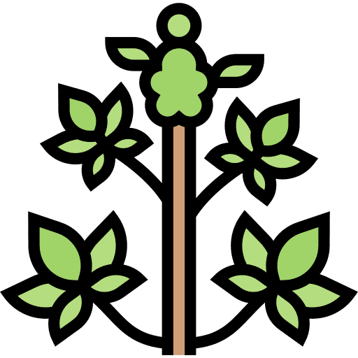 Cannabis herb plant hemp icon Cannabis herb plant hemp icon