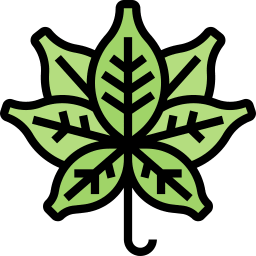 Cannabis leaves nature botanical icon Cannabis leaves nature botanical icon