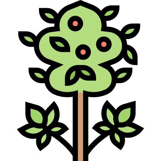 Cannabis weed cannabis nature icon Cannabis weed cannabis nature icon